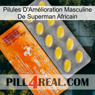 African Superman Male Enhancement Pills new05